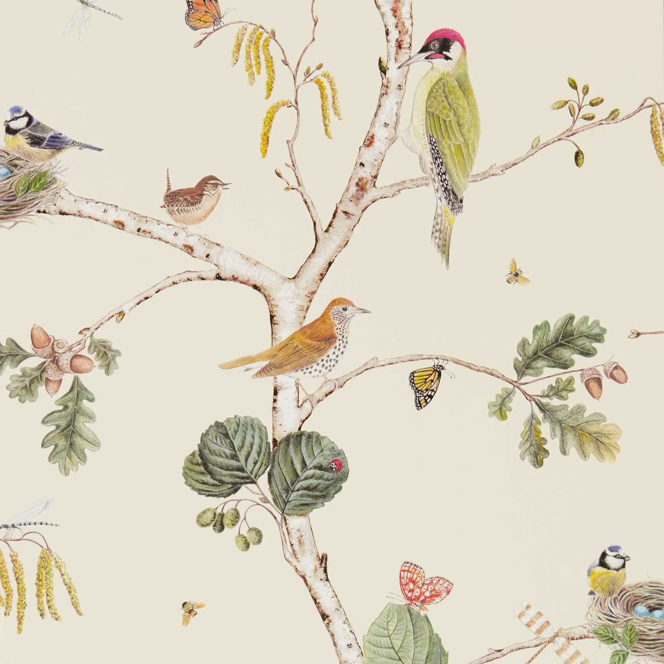 Heritage Woodland Birds